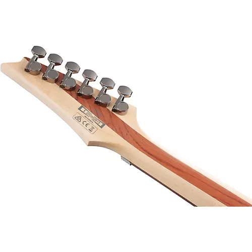 Ibanez PWM20 Paul Waggoner Signature 6str Electric Guitar