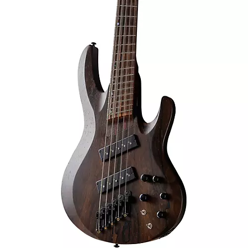 ESP LTD B-1005 Multi-Scale 5-string Bass Natural Satin