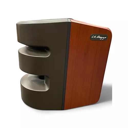 Used LR Baggs Synapse Powered Speaker
