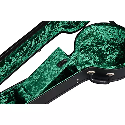 Epiphone Earl Scruggs Signature Golden Deluxe Resonator Banjo Natural