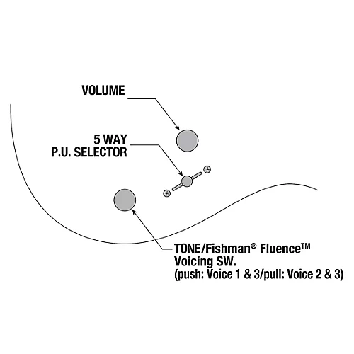 Ibanez Tim Henson Signature 7-String Electric Guitar