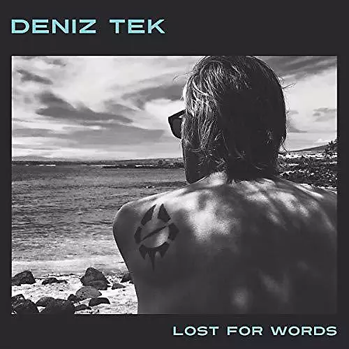 Deniz Tek - Lost for Words