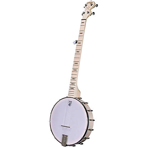 Deering Goodtime Nickel Banjo