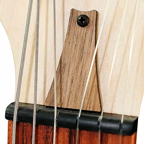 Deering Goodtime Six-R 6-String Resonator Banjo