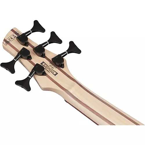 Ibanez SR305EB 5-String Electric Bass Guitar Walnut Flat