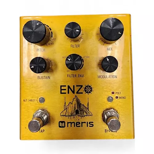 Used Meris enzo Effect Pedal