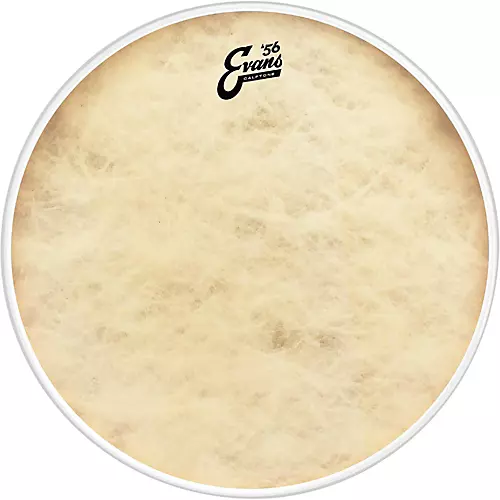 EVANS Calftone Tom Drumhead 16 in.