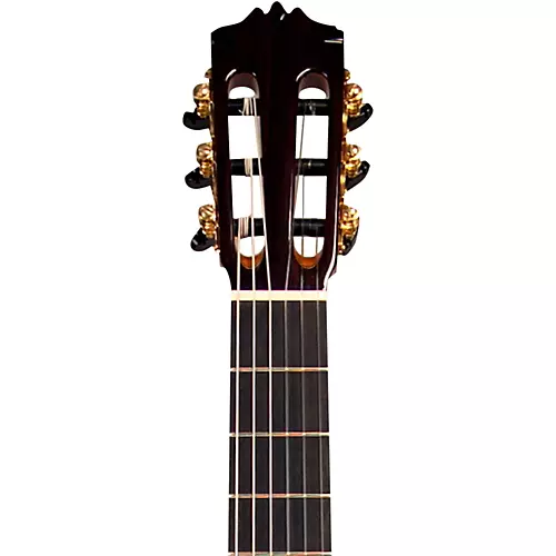 Cordoba F10 Nylon String Acoustic Guitar Natural