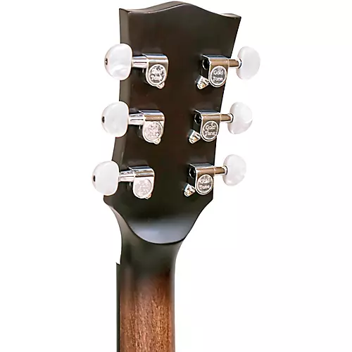 Gold Tone CC Banjitar Natural