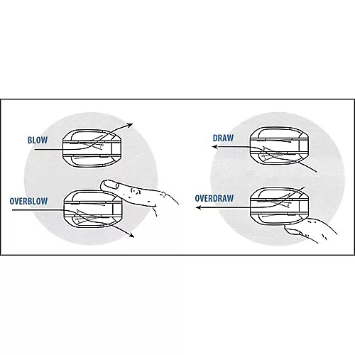 Suzuki OVERDRIVE HARMONICA C
