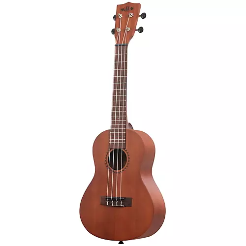 Kala Learn To Play Concert Ukulele Starter Kit