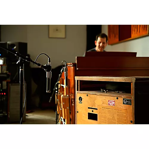 AEA Microphones AEA N13 Phantom-Powered Ribbon Microphone