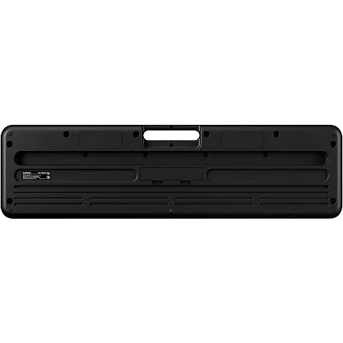 Casio Casiotone LK-S250 Lighted 61-Key Digital Keyboard Black