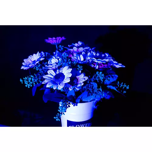 JMAZ Lighting Vision Fresnel 100 RGBW