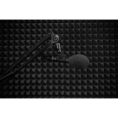 beyerdynamic M 201 Dynamic Moving-Coil Microphone (Hypercardioid)