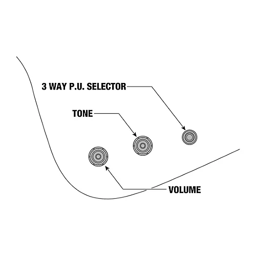 Ibanez Paul Gilbert Signature Electric Guitar Black