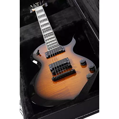 Wylde Audio WA-OB-1 Hardshell Wood Case for Odin and Barbarian Guitars Black