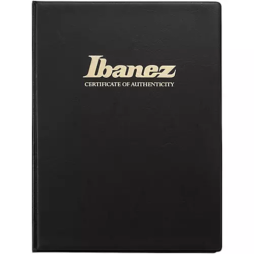 Ibanez Paul Stanley Signature Electric Guitar Cracked Mirror