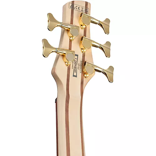 Ibanez SR305EDX 5-String Electric Bass Guitar Wine Red Frozen Matte