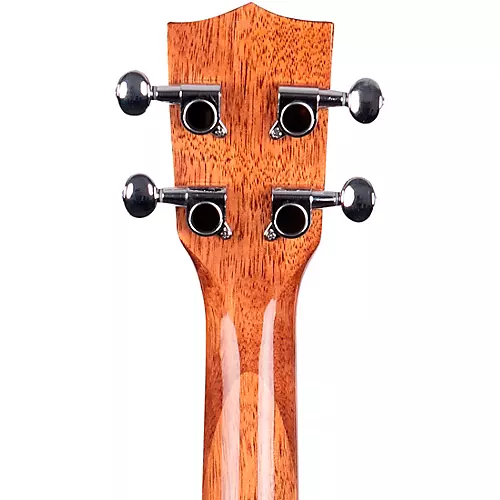 Kala KA-TG Tenor Gloss Ukulele