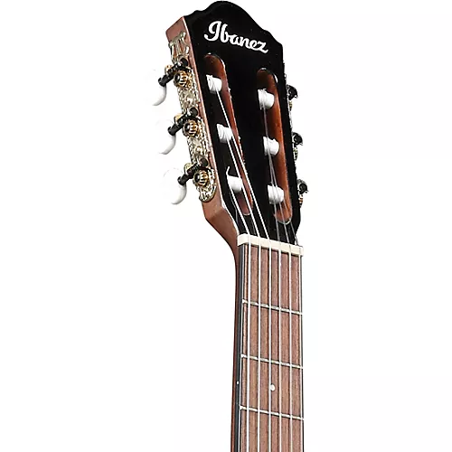 Ibanez AEG50N Acoustic-Electric Classical Guitar Gloss Black