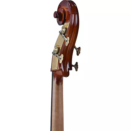 Bellafina Prodigy Series Double Bass Outfit 3/4 Size
