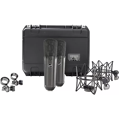 Warm Audio WA-87 R2 TS Large-Diaphragm Condenser Microphone Pair