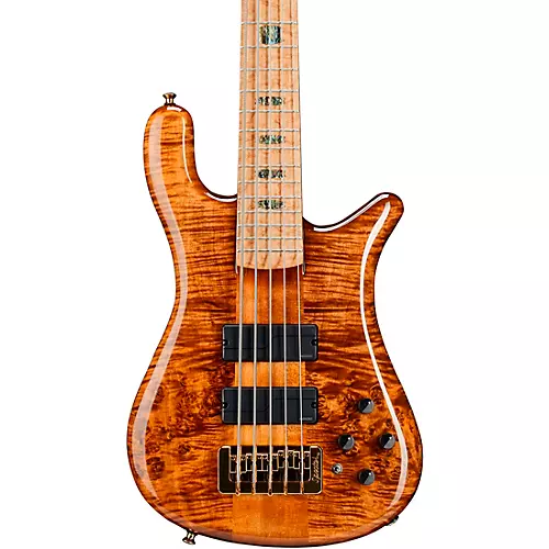 Spector NS5 Quilted Top/Fishman Electronics Tiger Eye