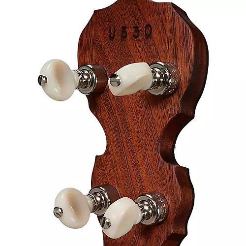 Deering Sierra 5-String Banjo