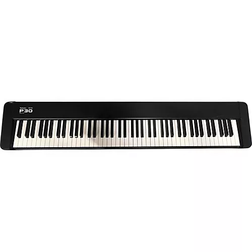 Used Technics SX-P30 Stage Piano