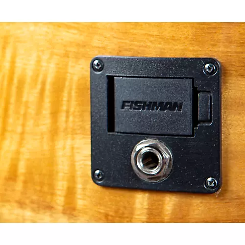 Breedlove Pursuit Exotic S CE Concerto Acoustic-Electric Bass Amber Burst