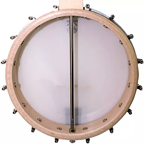Deering Goodtime Open-Back Banjo