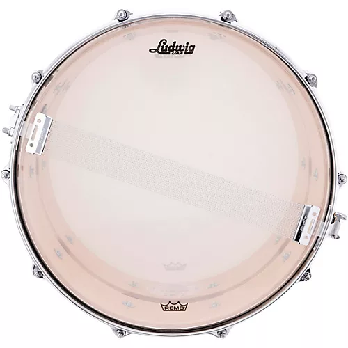 Ludwig Maple Coliseum Snare Drum 14 x 8 in.