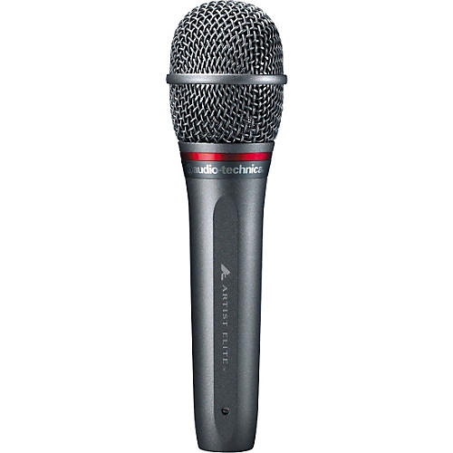 Audio-Technica AE6100 Hypercardioid Dynamic Microphone