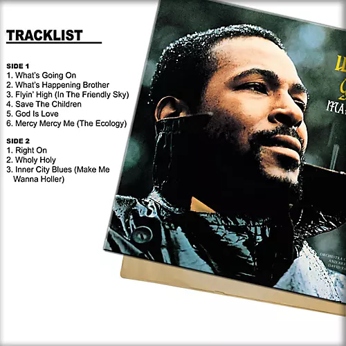 Marvin Gaye - What's Going On Vinyl LP