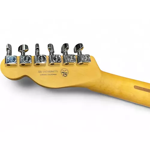 Used Fender American Professional II Telecaster ROASTED PINE Solid Body Electric Guitar ROASTED PINE