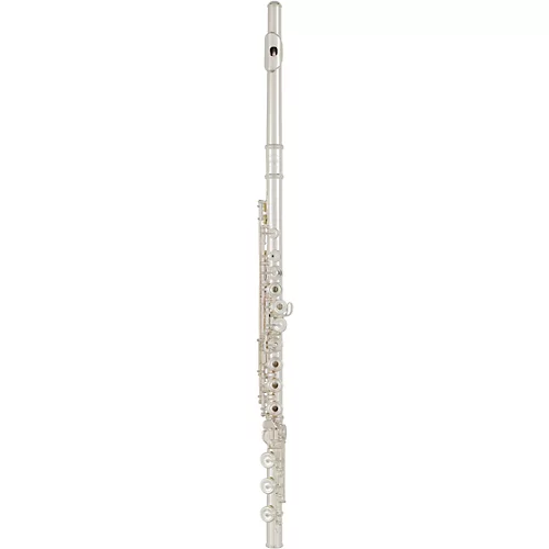 Allora Vienna Series Intermediate Flute Offset G B-Foot