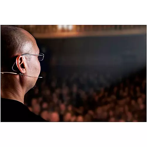 DPA Microphones d:fine CORE 6066 Omni Headset Mic, Beige, MicroDot