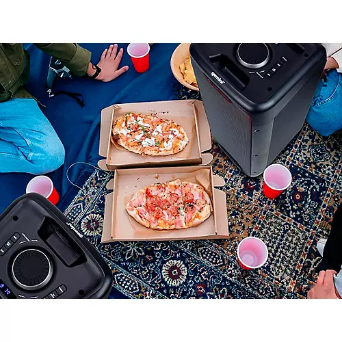 Gemini GLS-550 Dual 6.5