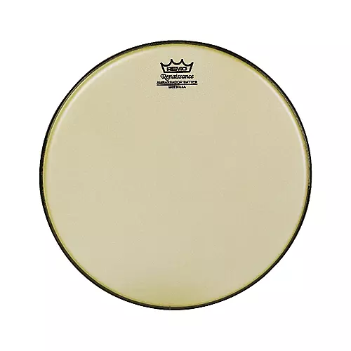 Remo Renaissance Ambassador Tom Batter 10 in.