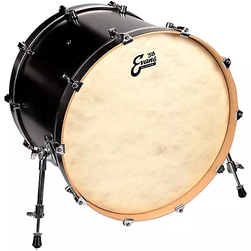 EVANS Calftone Tom Drumhead 16 in.