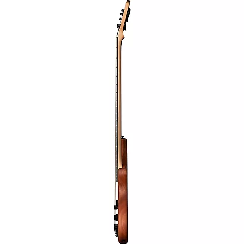 Tobias Killer B V 5-String Bass Satin Natural