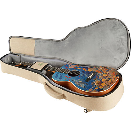Martin OM Biosphere Acoustic Guitar Ocean