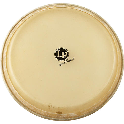 LP Conga Head 11 in.