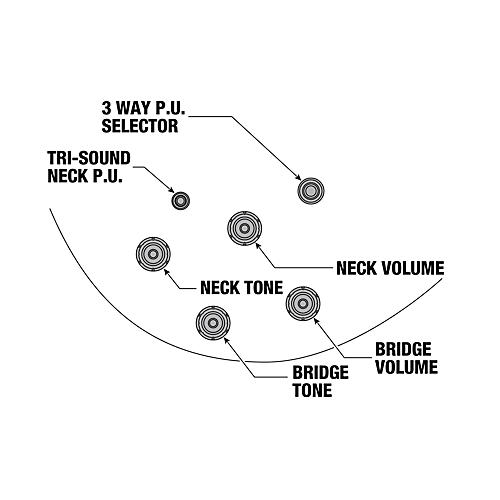Ibanez John Scofield Signature Electric Guitar Two-tone Burst