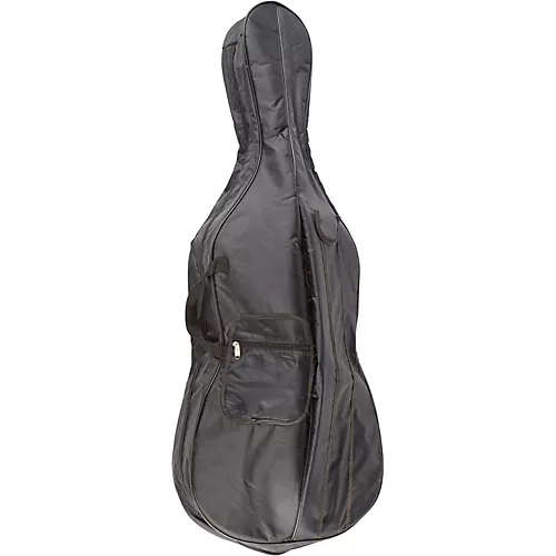 Ren Wei Shi Academy Series Cello Outfit 1/4