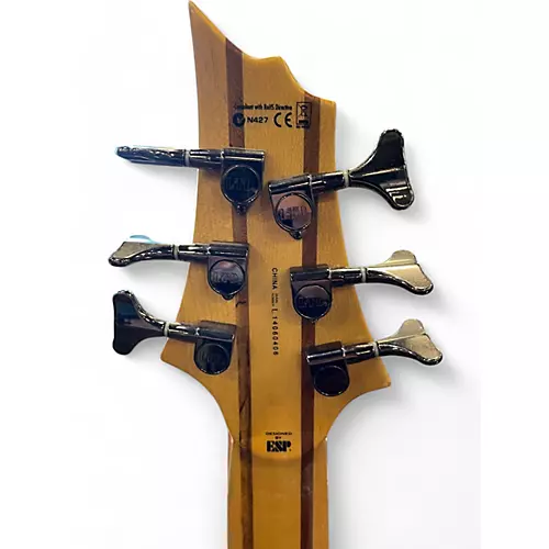 Used ESP LTD B206SM 6 String Natural Electric Bass Guitar Natural