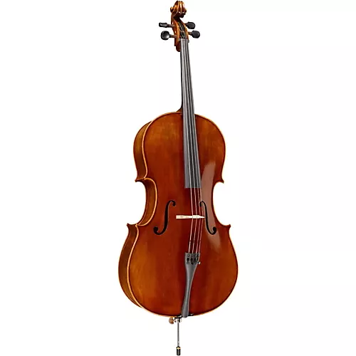 Ren Wei Shi Academy Series Cello Outfit 1/4