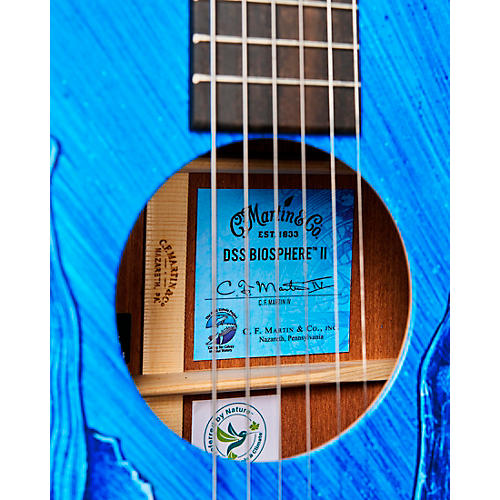 Martin DSS Biosphere II Dreadnought Acoustic Guitar Whale