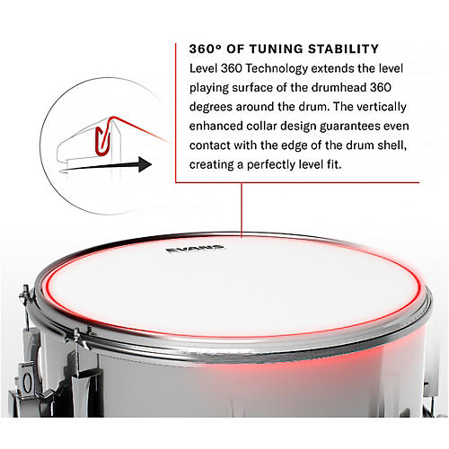 EVANS Yellow Submarine Primrose Prairie Bass Drumhead 20 in.